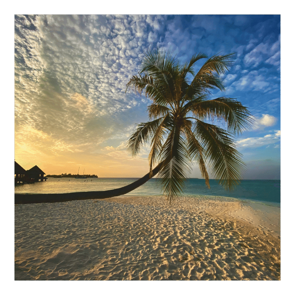 Magical sunset on a beach