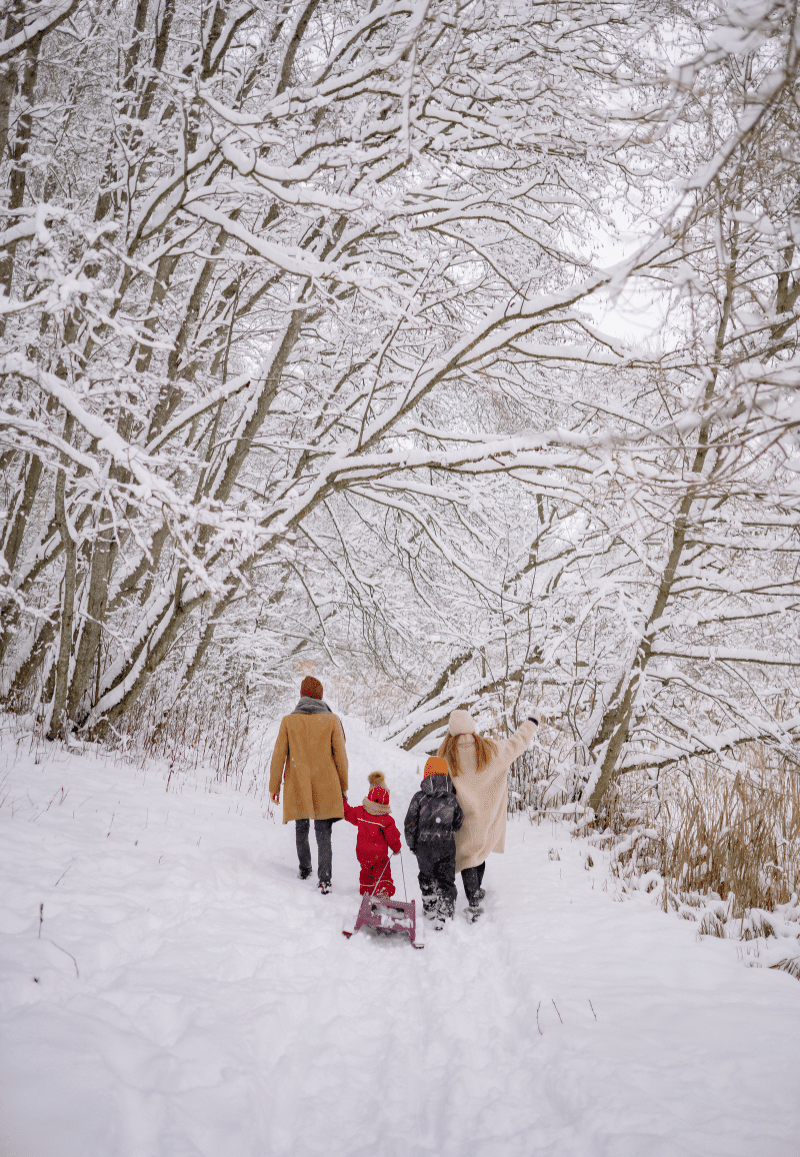 Family Enjoying their Winter Vacation