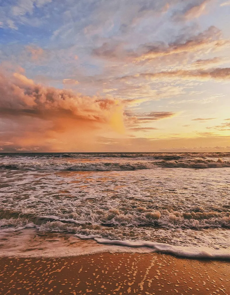 Enjoy sunset at the golden beaches of Goa