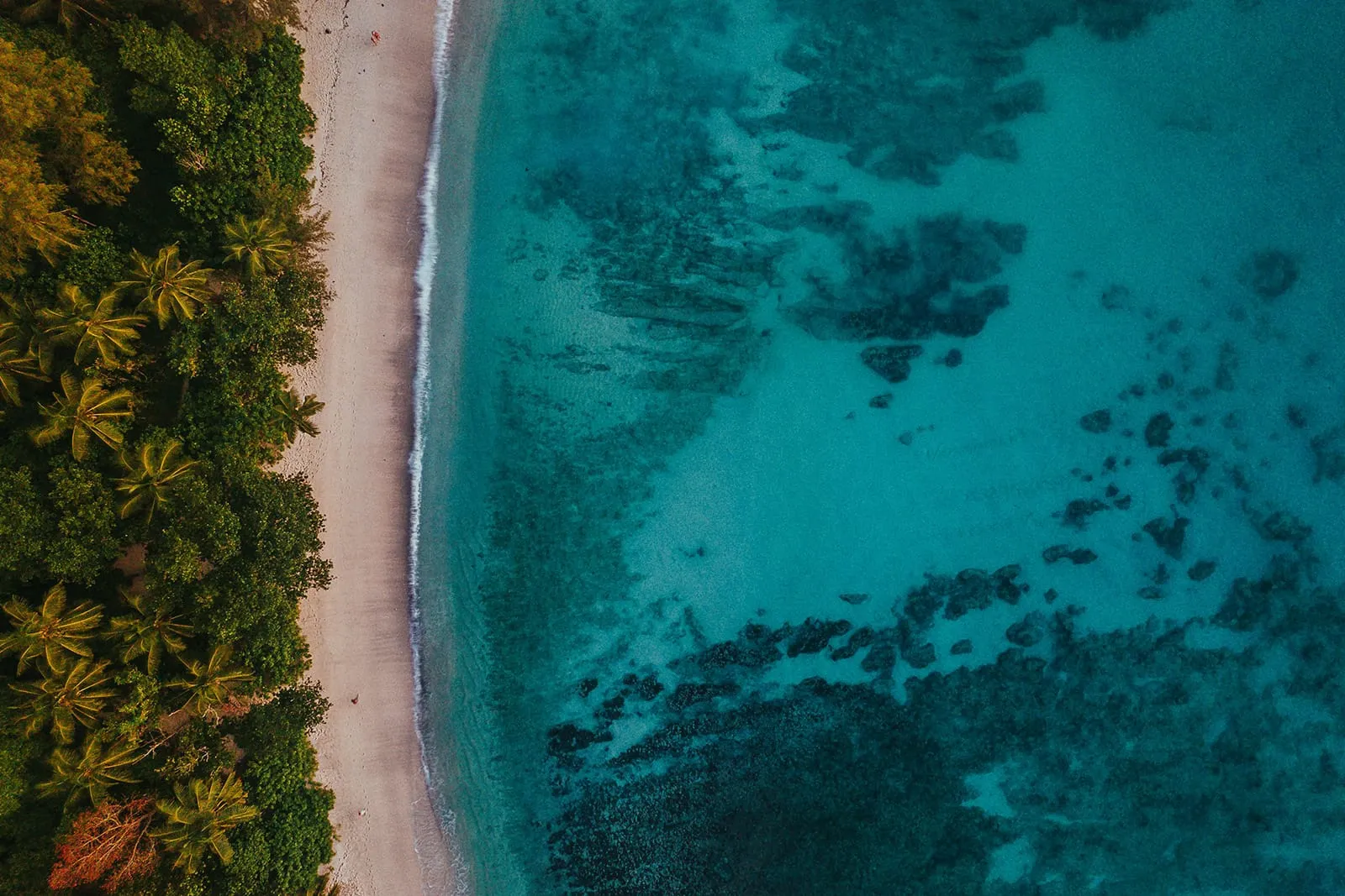 Best Beaches of Mahe & Praslin, Seychelles
