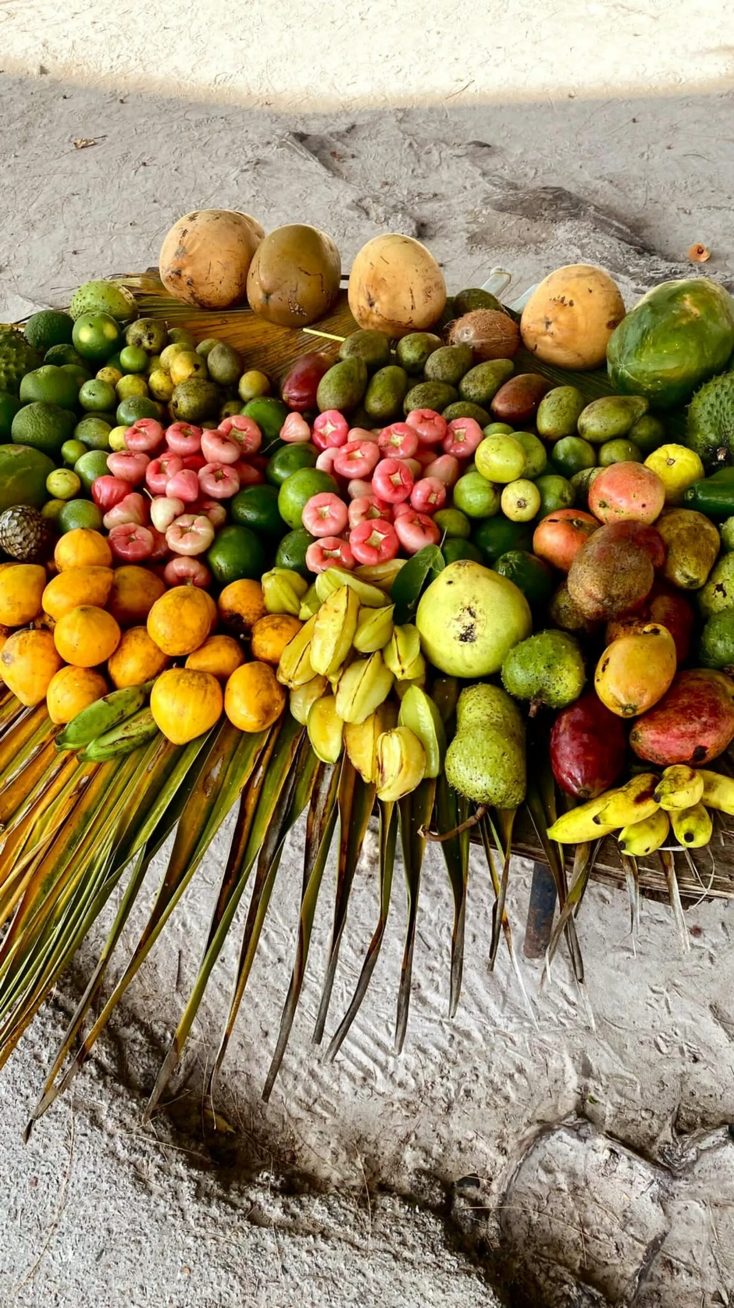 Assorted Tropical Fruits at Seychelles