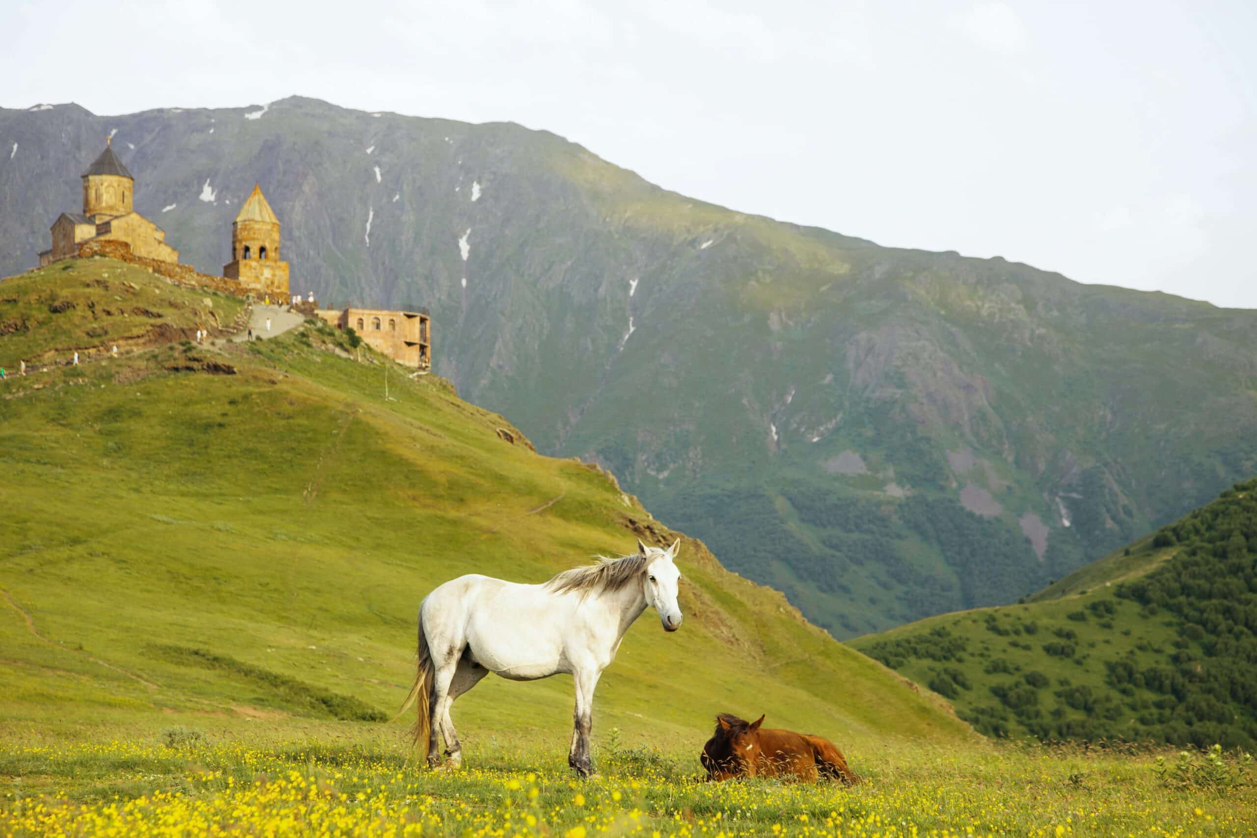 Scenic view of Georgia hills