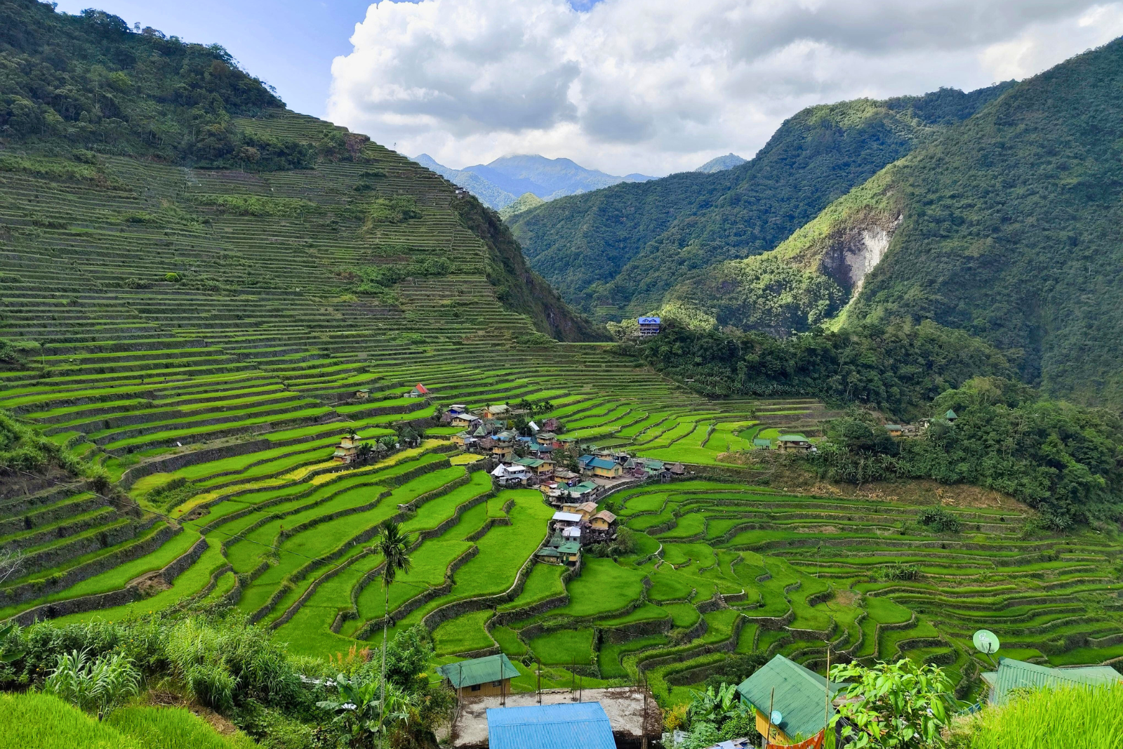 Step tarrace farming in Philippines