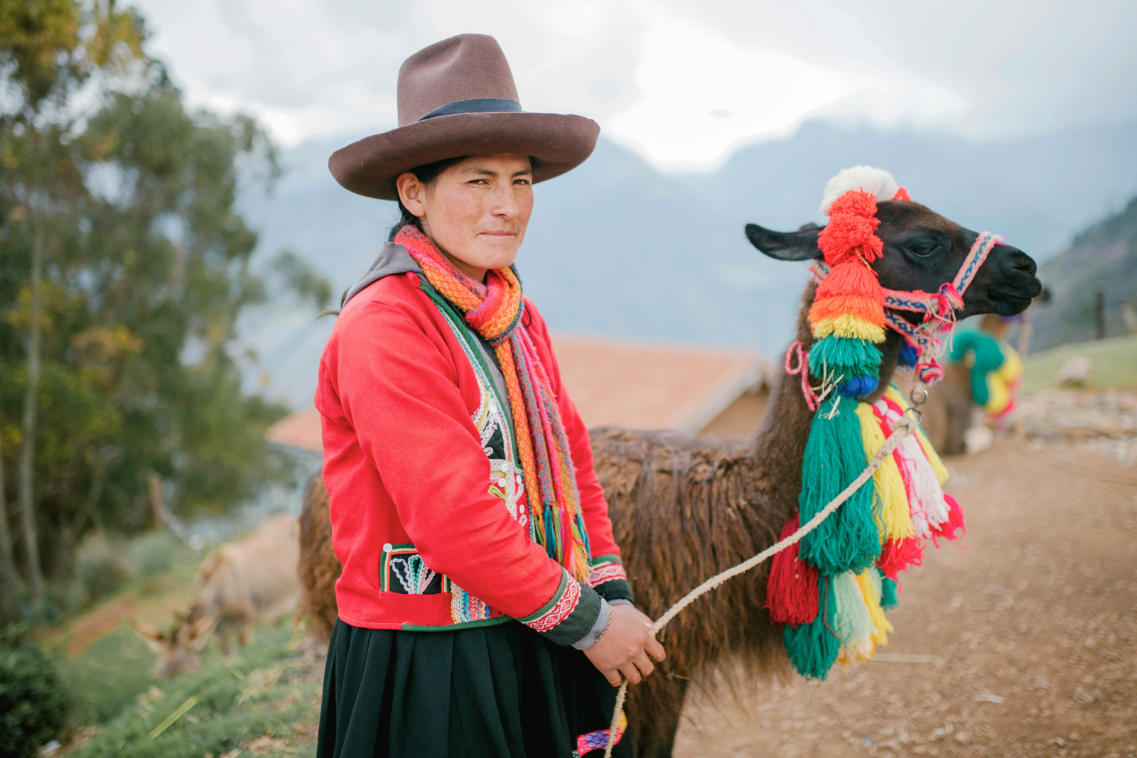 Peruvian lady with a llama